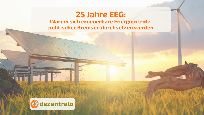25 Jahre EEG- ein Gastbeitrag von Hans-Josef Fell - dezentralo