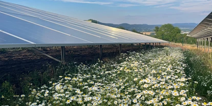 Photovoltaik Anbieter - Northeim - Freiflächenanlagen mit höchsten Biodiversitätsstandards - Energiesysteme Groß GmbH & Co. KG
