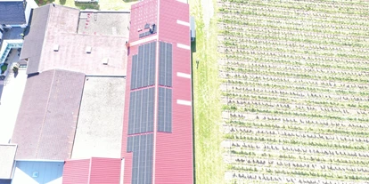 Photovoltaik Anbieter - Schönborn (Rhein-Lahn-Kreis) - Photovoltaikanlage zur Versorgung eines Weinguts in 67595 Bechtheim - BIBER SolarKonzept GmbH ☀