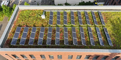 Photovoltaik Anbieter - Hückeswagen - Dachbegrünung mit PV - heygrün GmbH